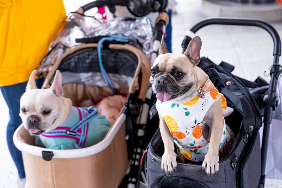 PAWZIDEA 3-in-1 Dog Stroller for Large Dogs: Ultimate Travel Solution in 2026