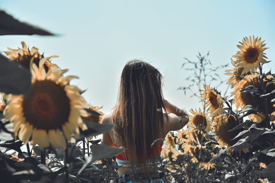 Back view of a woman in a vibrant sunflower field in Biatorbágy.