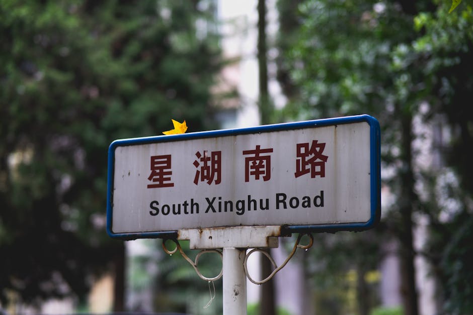 Close-up of a street sign on South Xinghu Road with Chinese characters and decorative leaf.
