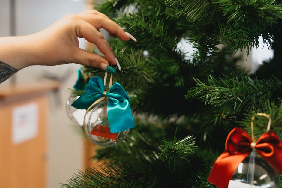 Close-up of hand hanging ornament with ribbon on Christmas tree branch.