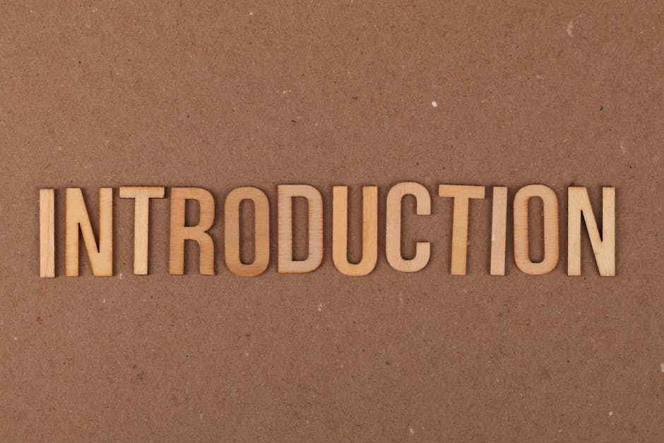 Wooden letters spelling 'INTRODUCTION' placed on a cardboard background.